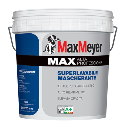 maxmeyer max a plus water paint