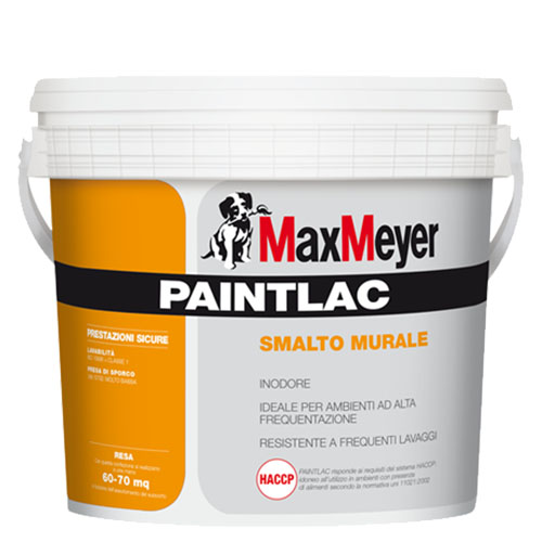paintlac wall enamel painting