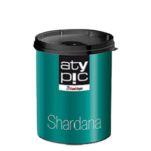 shardana decorative paint effect